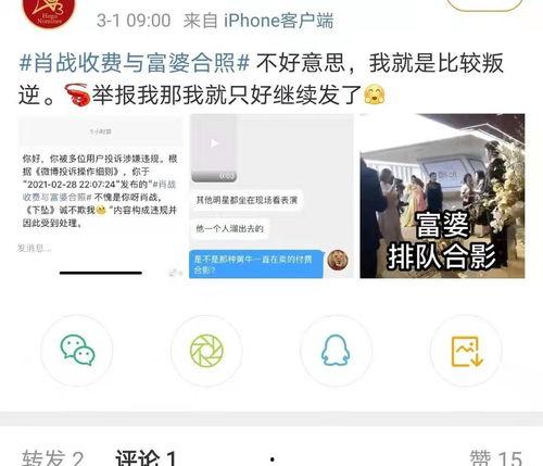 枞阳黑粉爆料视频大全集,视频大全集深度解析